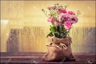 Quelle expression correspond à "ne te fie pas aux apparences" ?