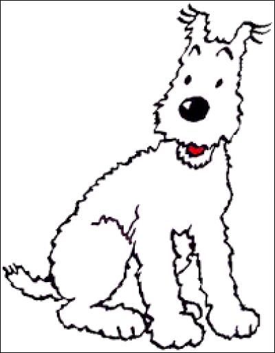 Quel est le nom du célèbre chien de Tintin ?