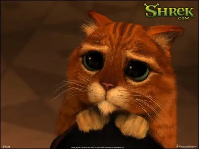 Dans "Shrek", comment s'appelle le petit chat orange ?