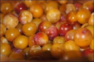 Je continu ma balade culinaire et me voici en Lorraine devant des...