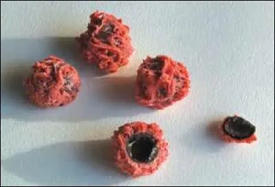 &Agrave; Avignon, j'ai go&ucirc;t&eacute;...