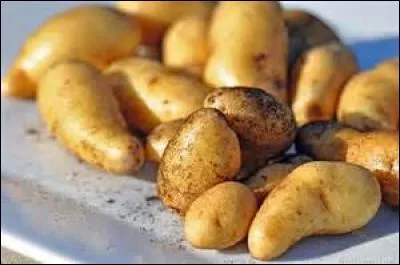 Me voil&agrave; maintenant &agrave; Noirmoutier, j'ai achet&eacute; des...