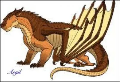 Comment se fait-il qu'Argil ait une particularité ?