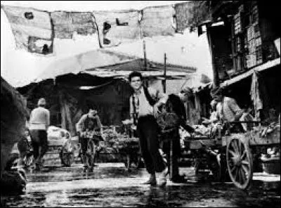 Ce film d'Elia Kazan de 1964, retrace le voyage, de l'empire ottoman à "l'empire américain", d'un jeune grec.