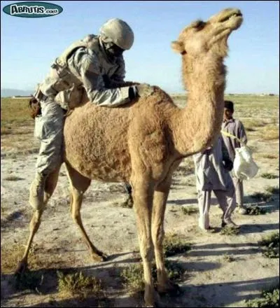 Rassurez-vous, le GI n'a aucune mauvaise intention, c'est simplement pour vous aider à trouver le titre !