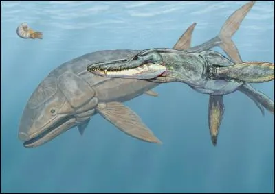 Quelle taille avait le Leedsichthys (à gauche) ?