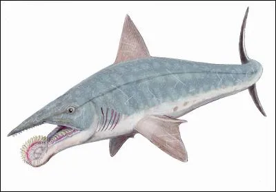 À quoi servirait la mâchoire d'Helicoprion ?