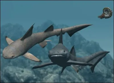 Quand vivait Hybodus ?