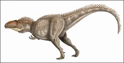 Sur quel continent a vécu le giganotosaure ?