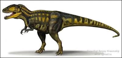 Sur quel continent a vécu le carcharodontosaure ?