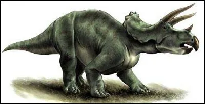 Sur quel continent a vécu le tricératops ?
