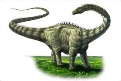 Sur quel continent a vécu le diplodocus ?