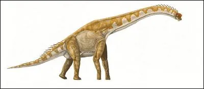 Sur quel continent a vécu le giraffatitan ?