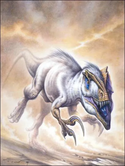 Sur quel continent a vécu le mégaraptor ?