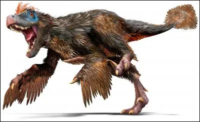 Sur quel continent a vécu le vélociraptor ?