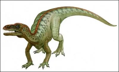 Sur quel continent a vécu l'eoraptor ?