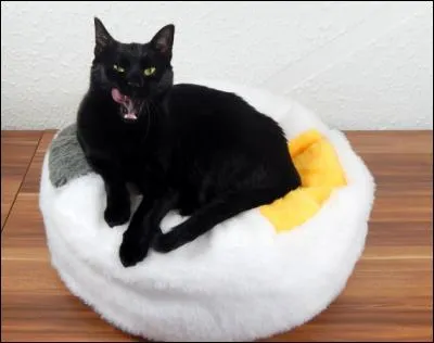 Pour qui ce joli pouf semble-t-il être ?