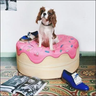 Quel héros des dessins animés adore cette friandise ?