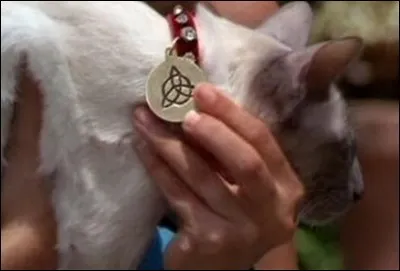 Comment s'appelle le chat des surs Halliwell ?