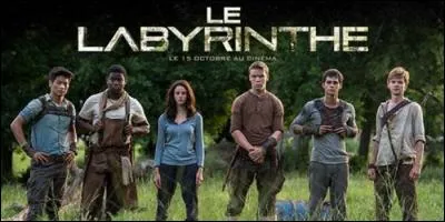 Qui se fait tuer avant le sauvetage ?