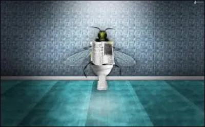 Dans quelle pièce la mouche est-elle ?