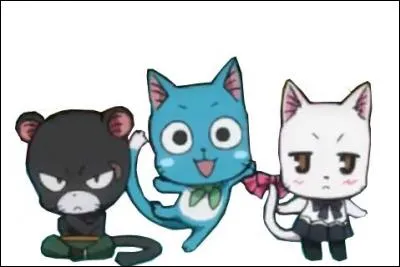 D'où viennent Happy, Carla, et Lyli ?