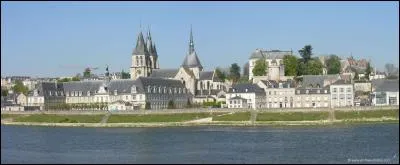 Classée ville d'art et d'histoire, ne serait-ce que par son château et son église Saint-Nicolas, cette ville possède une attraction populaire en mémoire au célèbre magicien Robert Houdin. Où trouver la Maison de la Magie ?