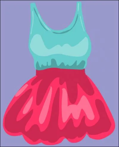 Ce vêtement, c'est :