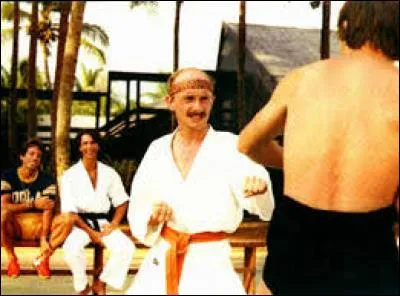 Quelle est la couleur de la ceinture qui précède la bleue ?