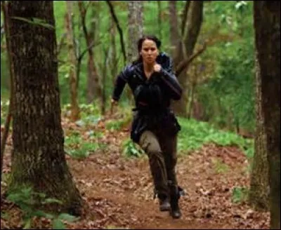 Qui a sauvé Katniss des guêpes ?