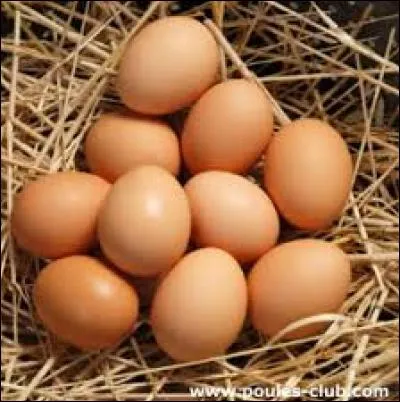 On termine sur une petite blague ? Ok."192 poule", pourquoi n'ai-je pas mis de "s" &agrave; poule ?