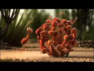 Trouvez le titre du film par la photo !