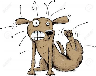 Qui interprète la chanson "Gratte-moi la puce" ?