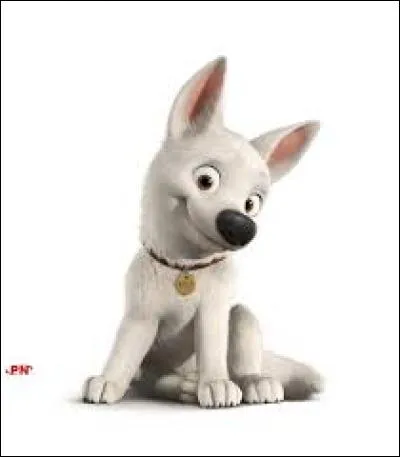 Quel est le nom d'un chien qui est une star malgré lui d'après le titre d'un film de Disney ?