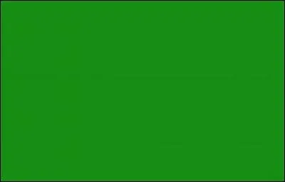 Quel pays avait jusqu'en 2011, un drapeau national tout vert ?