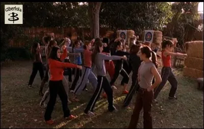 Comment appelle-t-on les tueuses que forme Buffy chez elle?