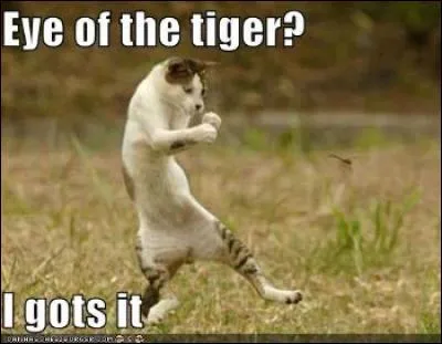 Quel groupe chante "Eye of the tiger" ?