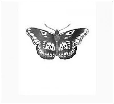 À qui appartient se tattoo ?