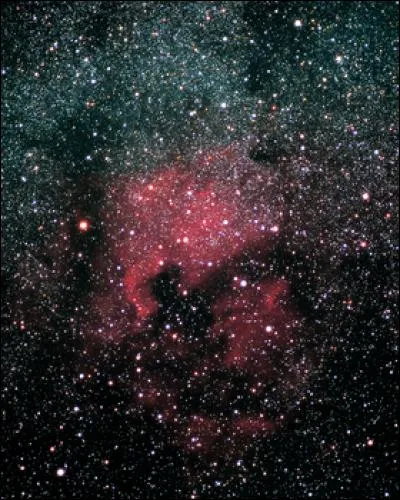 Sous quelle célèbre désignation peut-on trouver la nébuleuse de l'Amérique du Nord ?