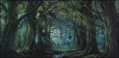 Dans "Le Seigneur des anneaux", qui vit dans la forêt de Fangorn ?