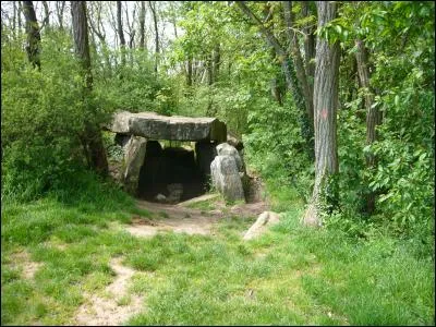 Quel héros va se cacher dans la forêt après avoir été libéré par Jehan le larron ?