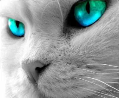 Qui sont ses soeurs ?