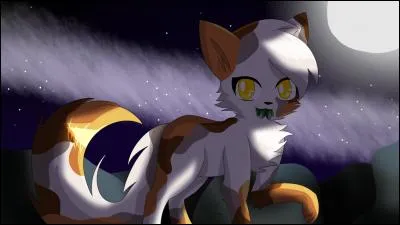 N'oublions pas qu'elle a changé d'avis pour son rôle au sein du clan en fait que veut-elle devenir ?