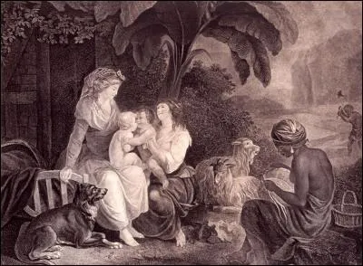 L'histoire de deux enfants vivant sur l'île de France (désormais île Maurice). Issus de deux familles différentes. Roman de Jacques-Henri Bernardin de Saint-Pierre qui raconte l'histoire de :