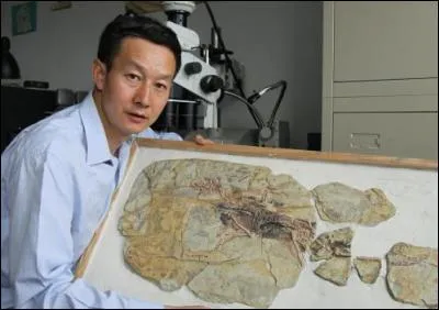 Xu Xing est un grand paléontologue qui a travaillé sur plusieurs fossiles (Yinlong, Guanlong, Kryptodrakon, Sonidosaurus, Gigantoraptor, Microraptor, Gigantosaurus, Mei, Erliansaurus, Yutyrannus...). Quel dinosaure, décrit par ce paléontologue, fut découvert en 2015 ?