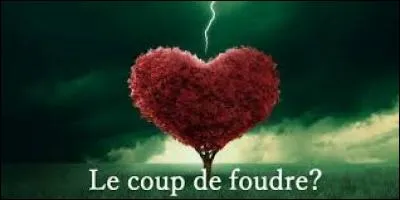 Tu crois au coup de foudre