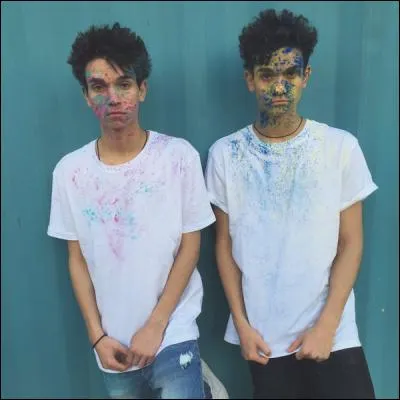 Qu'ont-ils de spécial ?