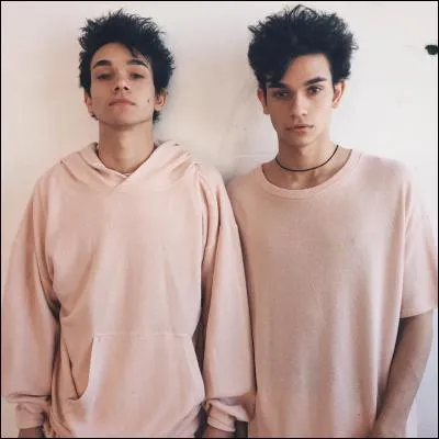 Quel est le téléphone actuel des jumeaux ?