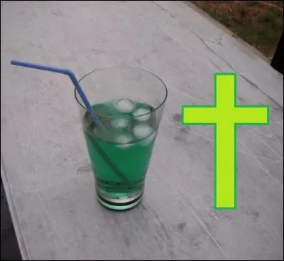 Laquelle de ces définitions correspond à l'insecte évoqué par la photo ?