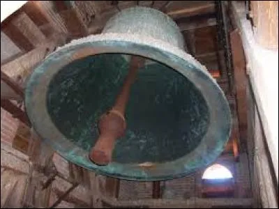 Retrouvez la définition qui correspond à l'insecte évoqué par cette photo :